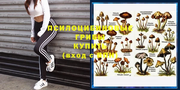 меф VHQ Гвардейск
