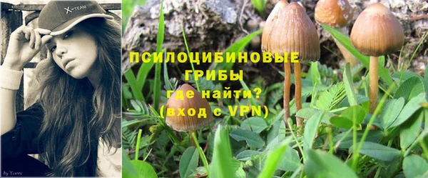 кокс Абдулино
