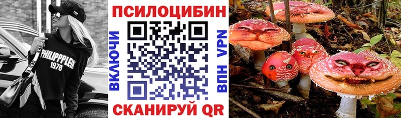 Псилоцибиновые грибы Magic Shrooms как найти shop какой сайт Струнино